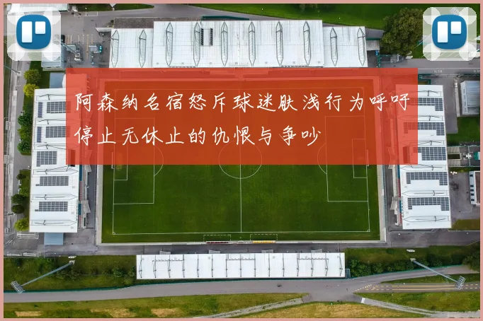阿森纳名宿怒斥球迷肤浅行为呼吁停止无休止的仇恨与争吵